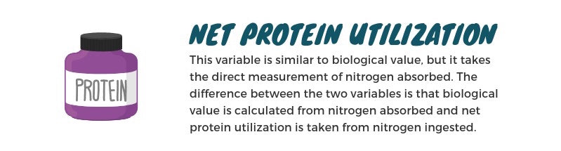 Net Protein Utilization graphic