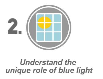 Unique Role of Blue Light in Circadian Rhythm
