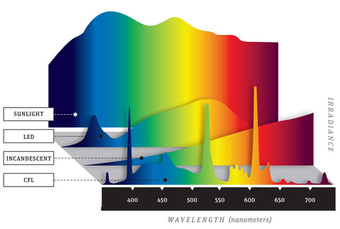 Colour Spectrum of Various Types of Light