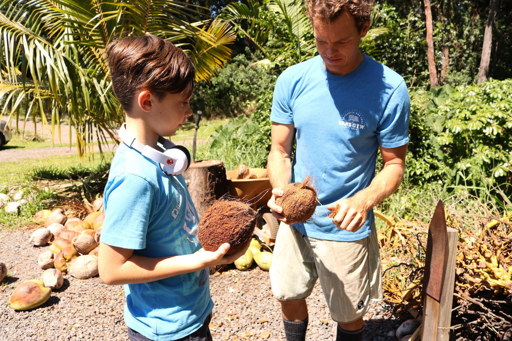 Coconut Information, Coconut, Maui, Haiku Maui, Haiku, East Maui, Upcountry Maui, Jungle, Farm, Organic Farm, Sustainable Farm, Sustainable Tours, Local Attraction, Tourist Attraction, Teaching, Learning