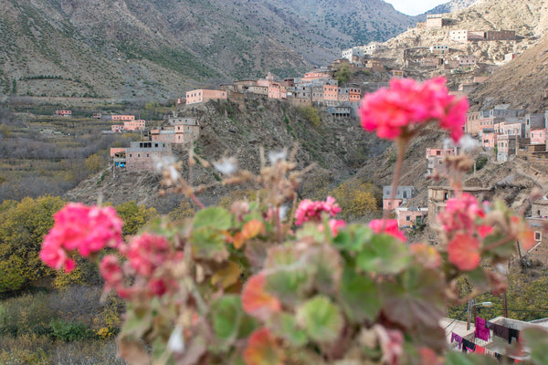 Sophee Smiles - At Home in Morocco - Imlil Town Through Flowers