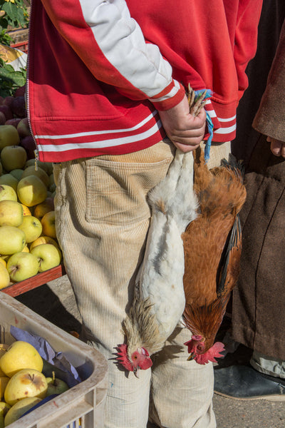 Street Scenes in Chefchaouen, Morocco by Sophee Smiles - Man Holding 2 Chickens