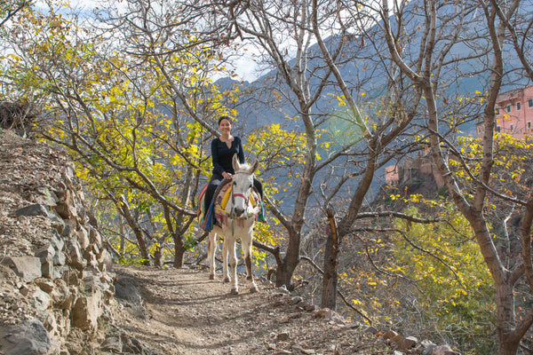 Sophee Smiles - At Home in Morocco - Sophee Riding Horse on Path