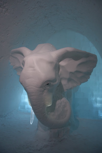 Twins That Travel at Supernomad - Ice Elephant Statue at the Ice Hotel in Sweden