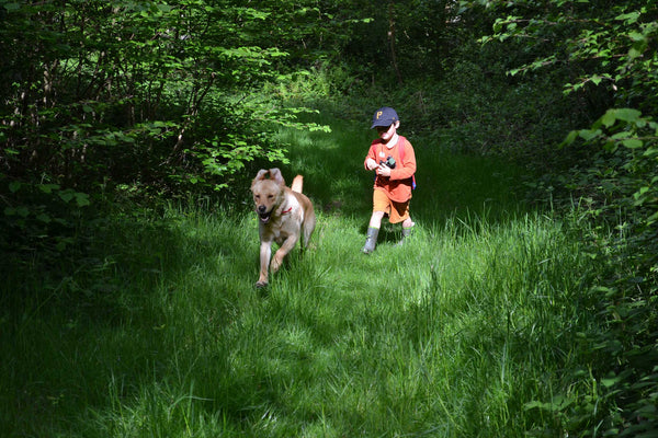 Running around in the woods