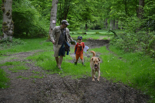 walking in the woods