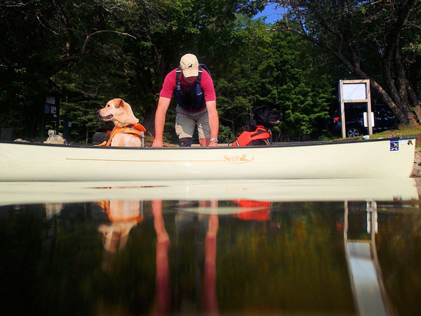 camping canoe with dog