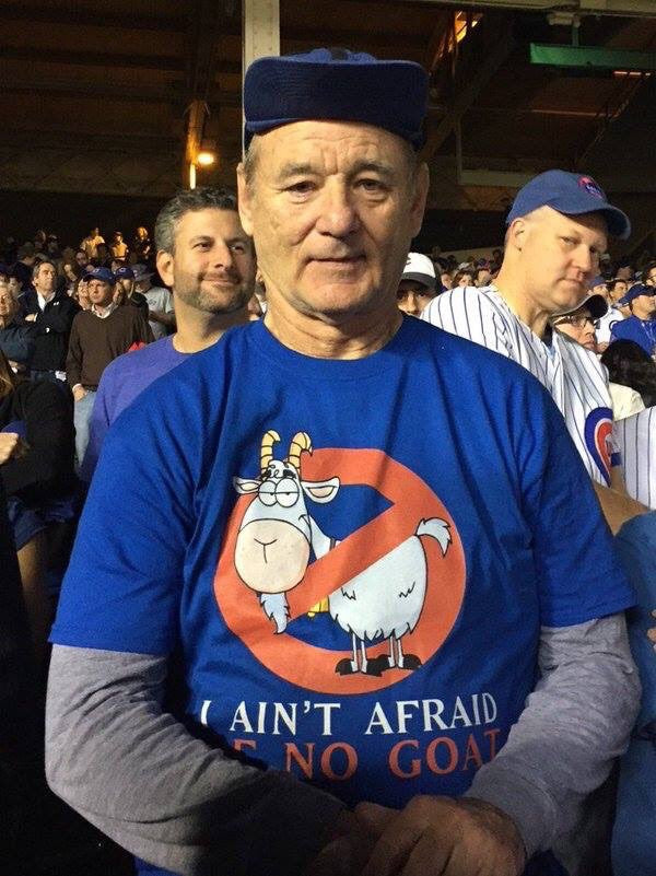 bill murray cubs shirt