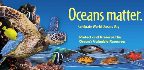 Image result for world oceans day