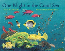 One Night in the Coral Sea