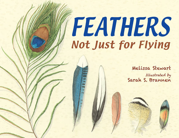 The Weight Of Feathers Epub To Pdf