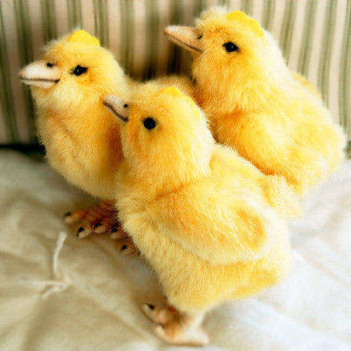 baby chick plush