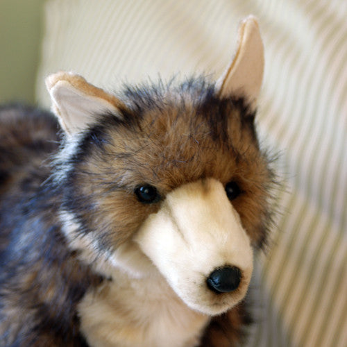 coyote plush toy