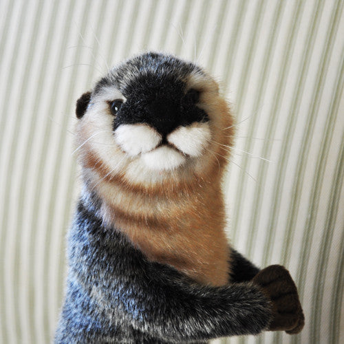 otter with stuffed animal