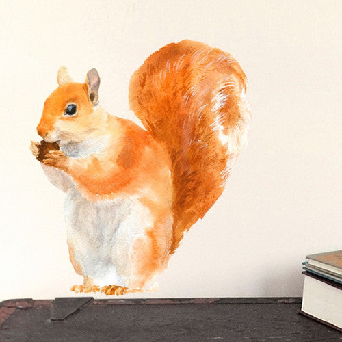 Red Squirrel Wall Sticker