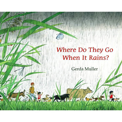 Where Do They Go When It Rains?