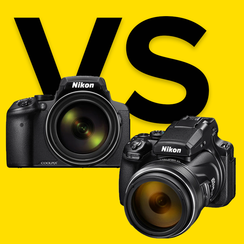 wear simultaneous Compressed The Nikon P900 vs P950 vs P1000: Get Closer—Even from A Distance –  Pictureline