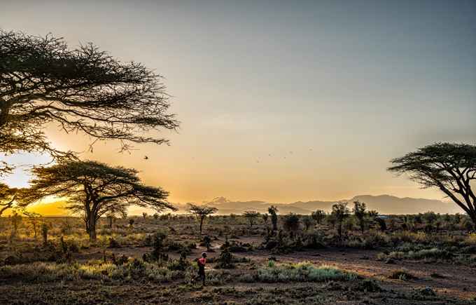 Image of African plains taken by Michael Schoenfeld