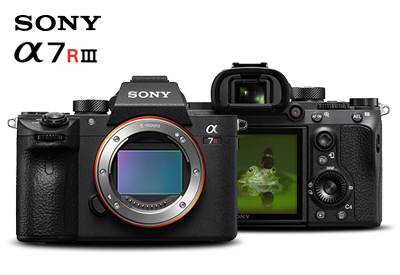 Sony-a7III-and-a7RIII-cameras-available-at-pictureline