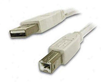 Universal USB Cable 15' Type A-B, computers cables & adapters, Universal Systems - Pictureline