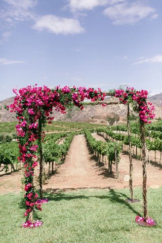 Por qué celebrar tu boda en un viñedo13