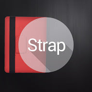 STRAP LOCK CASES