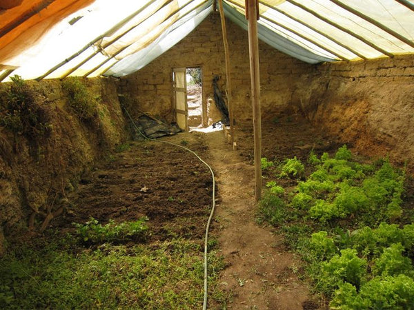 green house underground survival preparation 