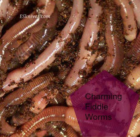 Fiddling worms