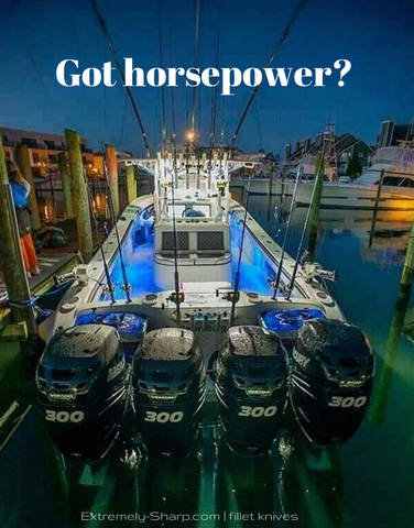 Got horsepower