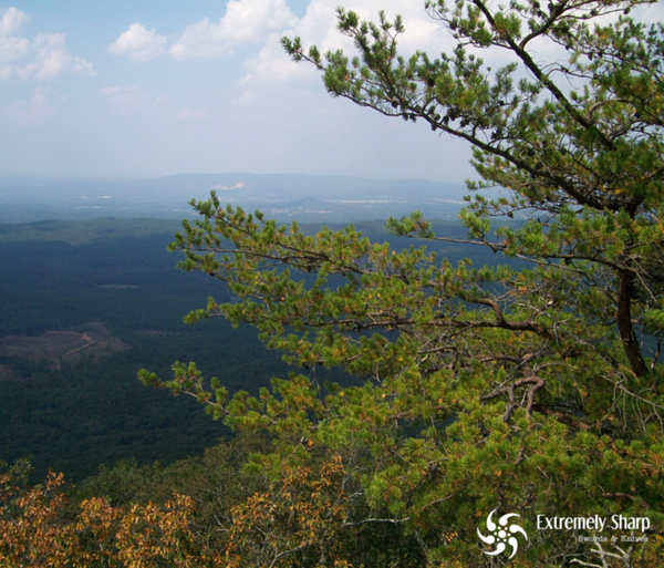 ESKnives Mountain View