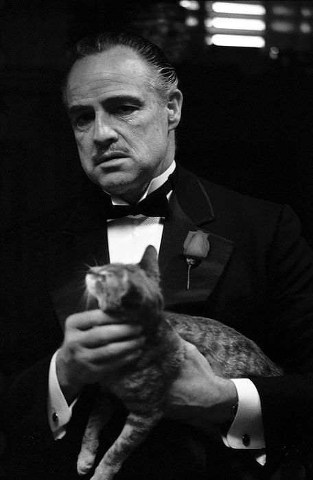 Godfather an offer you can't refuse