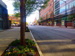 Flowers in Tech Square Atlanta