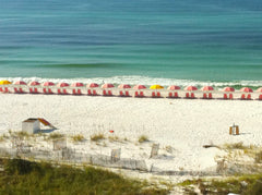 Rows of beach umbrellas