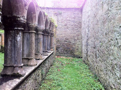 Ireland - homestead ruins