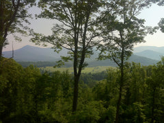 Mountain trees in Blairsville - royalty free stock pictures