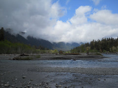 Riverbed Ho National Park Washington