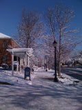 Roswell Winter small town lamp post