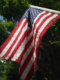 USA flag in summer trees - royalty free stock photo