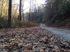 Winter offroad trail