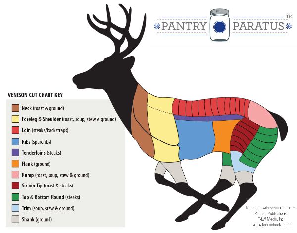 Fillet knife venison cut chart Deer