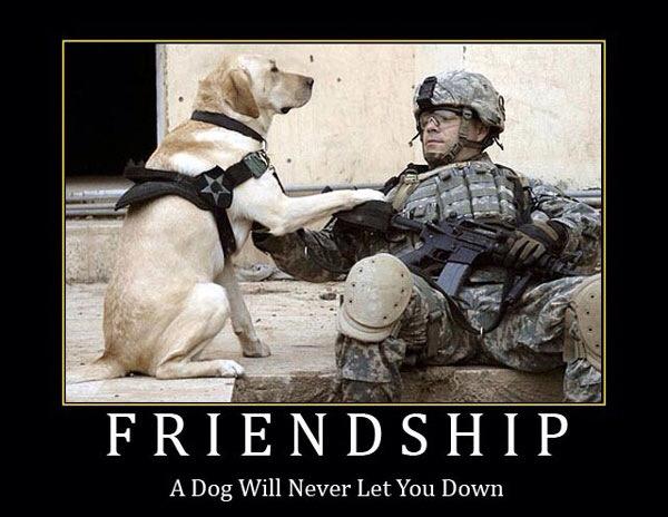 Friendship A dog will never let you down.
