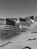 Field of Flags at Pepperdine University