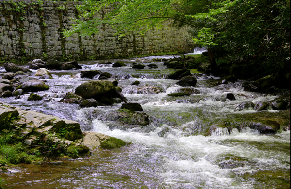 Great Smokey Mountains National Park River