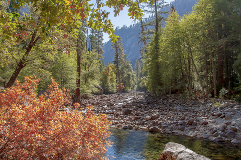 Yosemite National Park River