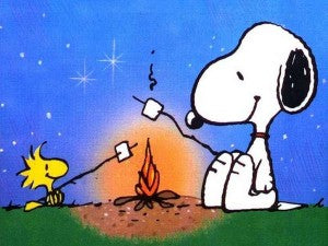 Snoopy Camping with Woodstock