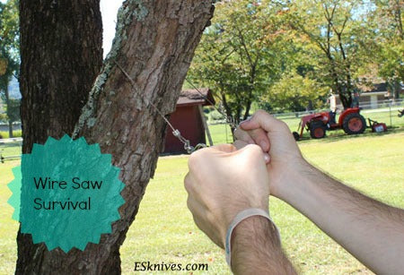 Wire Saw Survival