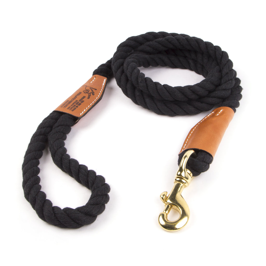 black leash for dog