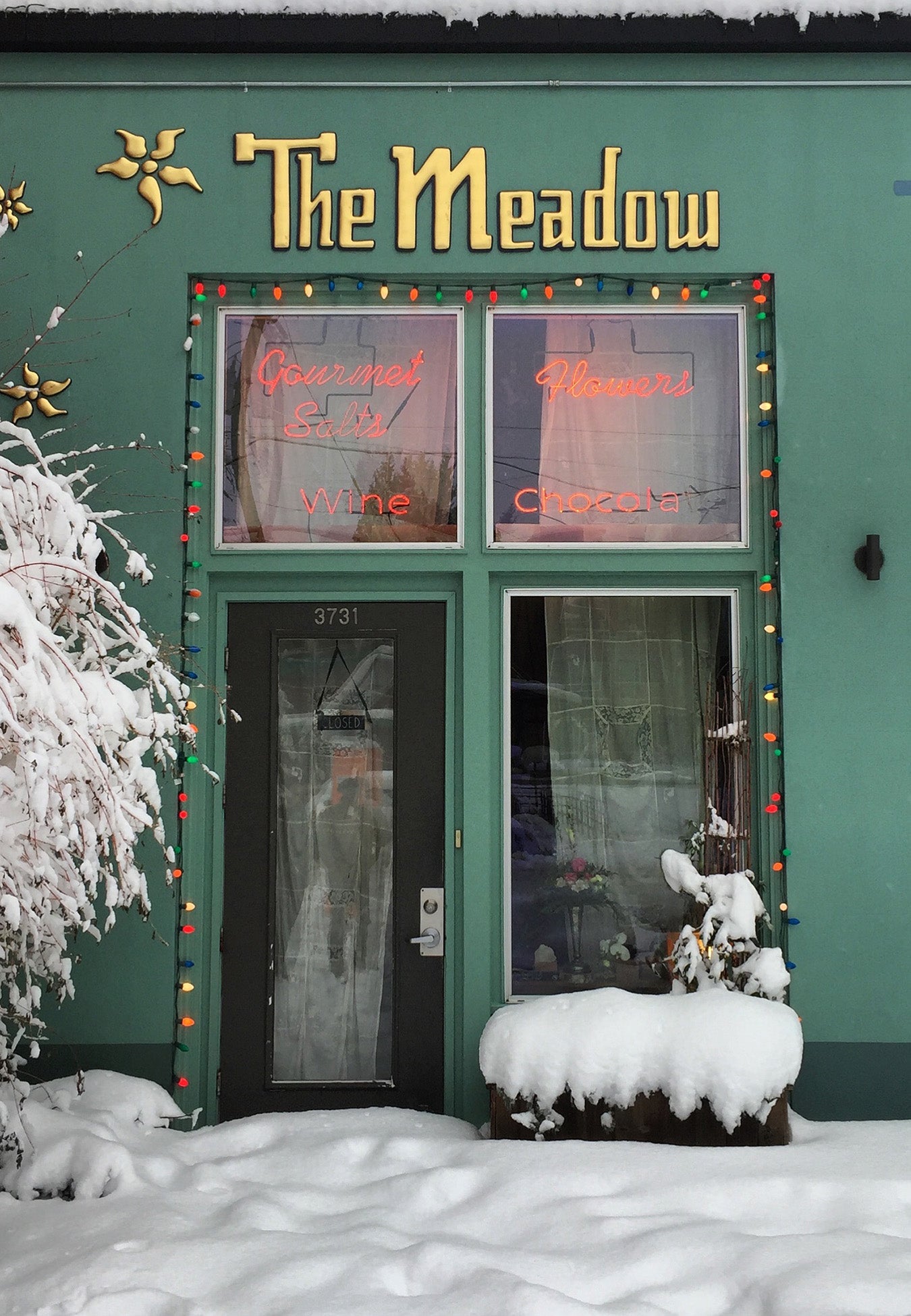 The Meadow Mississippi in Snow