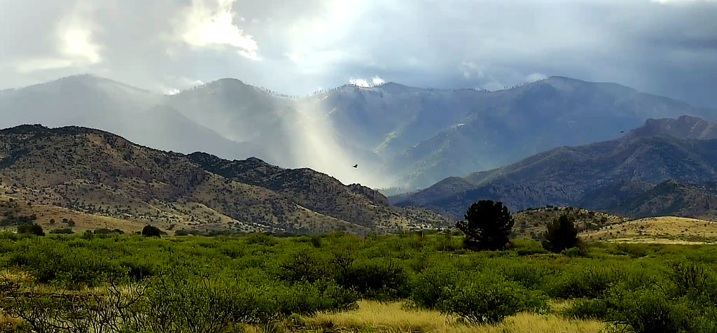 home for sale chiricahua mountains arizona