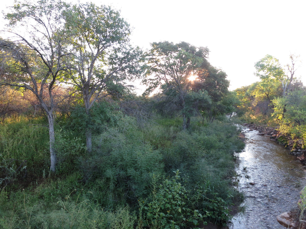 Arizona ranch for sale